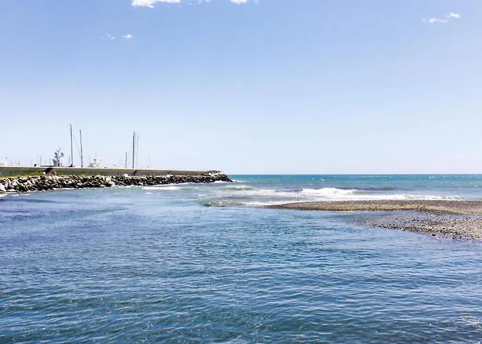 3 Bedroom Pet Friendly In Ne